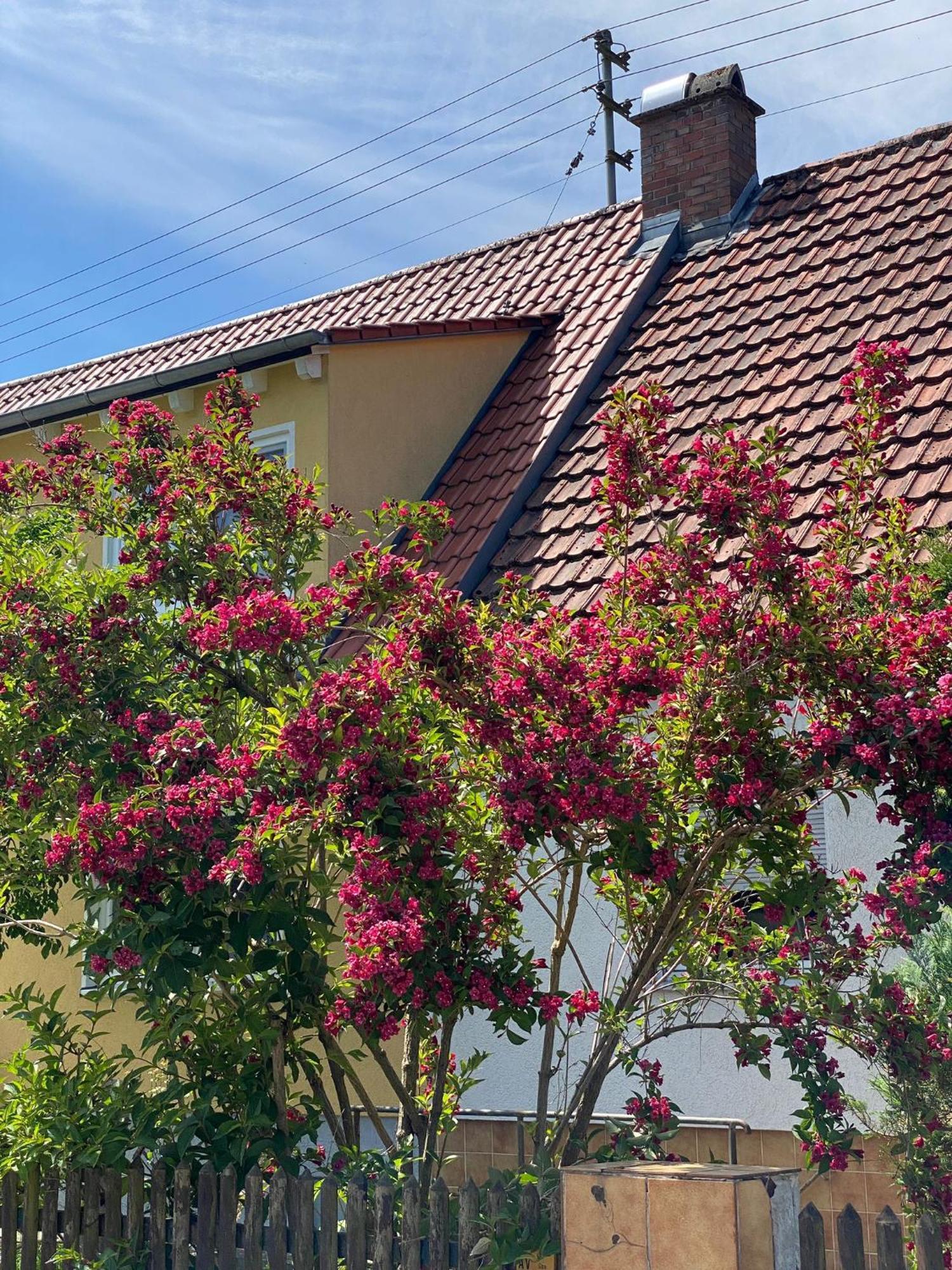 Haus Am Kuhsee Augusta Esterno foto
